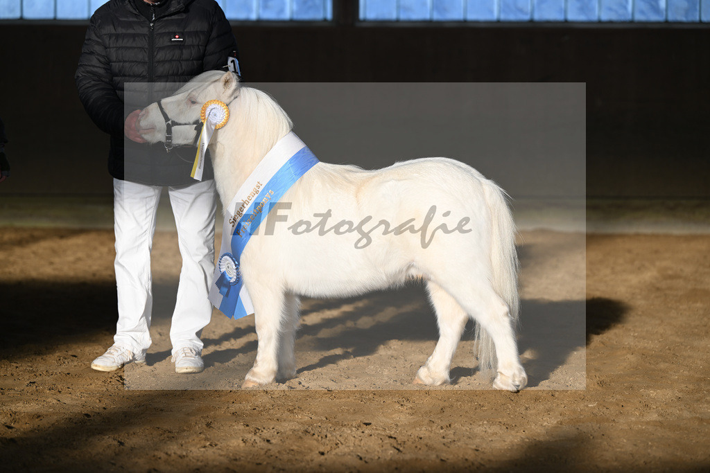 Kat-Nr. 14 Elmhorst Irish Cream v. Elmhorst Irish Coffee_Elmer_49250853 | hf-fotografie - Realisiert mit Pictrs.com