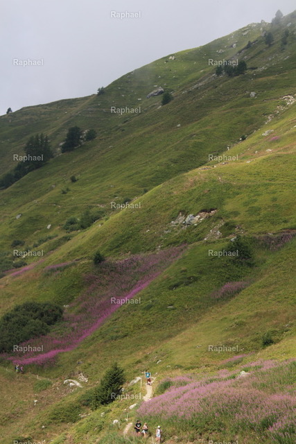 IMG_2311 | Raphael - Realisiert mit Pictrs.com