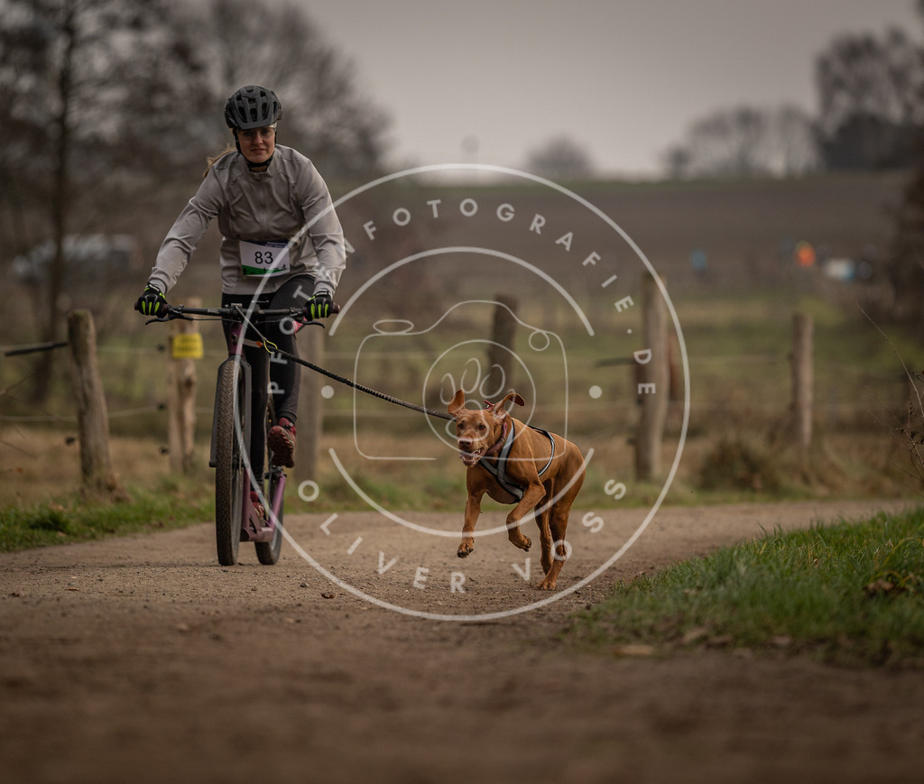 Pfotenfotografie_DV3A3995 | Hundefotografie, Tierfotograf, Pfotenfotografie, Fotoshooting Hund, Hunde Portrait, Hundesport, Hundeportraits, Heideshooting, Hunde, Sportfotograf, Hundefotograf, Turnierhundsport, THS,  - Realisiert mit Pictrs.com