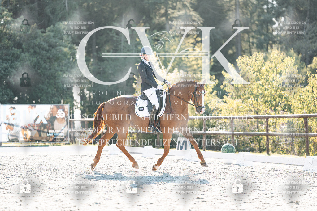 CK906923 | Turnierfotografie Pferdefotografie Trier Rheinland-Pfalz Pferdesport Reitsport Tierfotografie Sportfotografie Pferdevideo Pferdevideografie Equestrianvideography equestrianphotography  - Realisiert mit Pictrs.com
