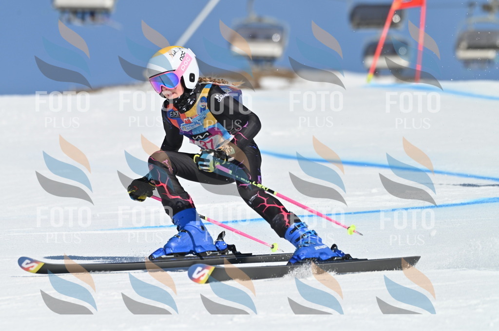 BGV_8295 | holidayphoto