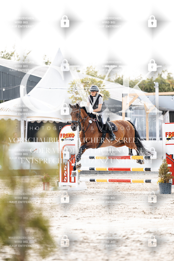 CK906907 | Turnierfotografie Pferdefotografie Trier Rheinland-Pfalz Pferdesport Reitsport Tierfotografie Sportfotografie Pferdevideo Pferdevideografie Equestrianvideography equestrianphotography  - Realisiert mit Pictrs.com