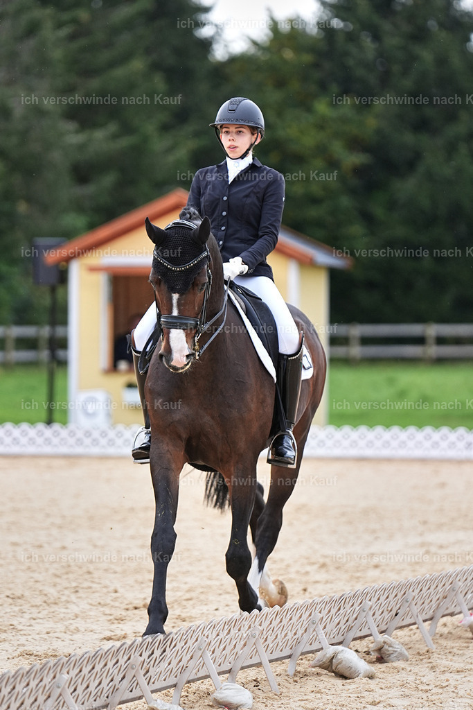 3-224-Dressur M_-Marixx-2008 | working equitationturnier fotograf videograf stoibphotography marixx film working equitation deutschland reitsport turnierfotografie eventfotografie equestrian events