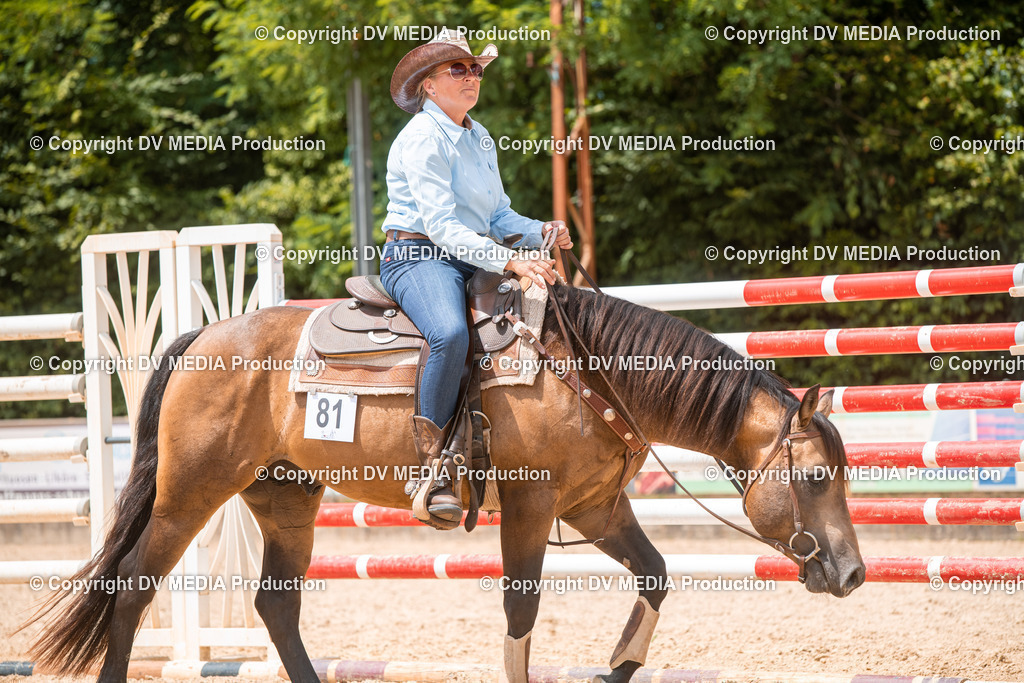 EWP_6514 | dv-media-shop - Realisiert mit Pictrs.com