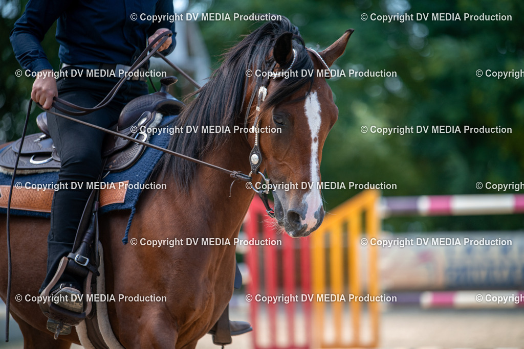 EWP_6875 | dv-media-shop - Realisiert mit Pictrs.com