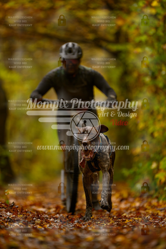 MompixPhotography_CD7S_DI_DS-7 | mompixphotography