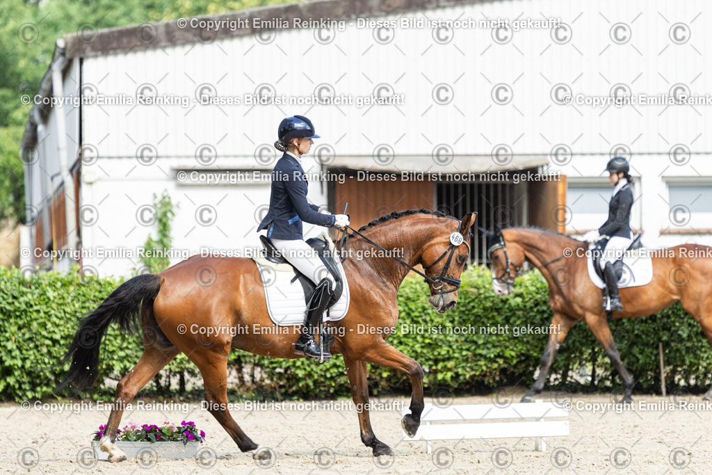 CL5A6266-2 | Emilia Reinking Fotografie - Realisiert mit Pictrs.com