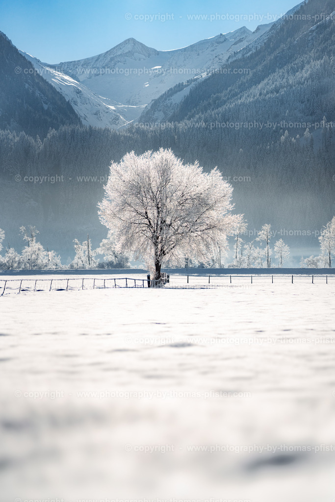 Venedigerblick copyright  Thomas Pfister-1 | PHOTOGRAPHY BY THOMAS PFISTER