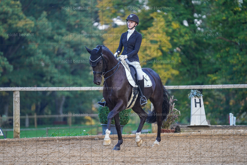 20221007-FAH00617 | Diessen am Ammersee, 2022, Dressur- und Springturnier, Reitsportbilder, Turnierfotografen Bayern, Pferdefotografen, Fotoagentur Herrmann, Turnierbilder