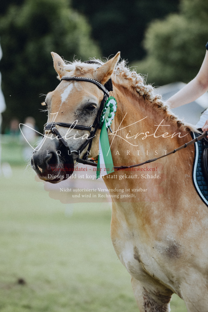 DSC_8991 | Pferde- und Turnierfotografie in Westsachsen. Pferdeportraits, Auftragszeichnungen und intuitive Kunst.