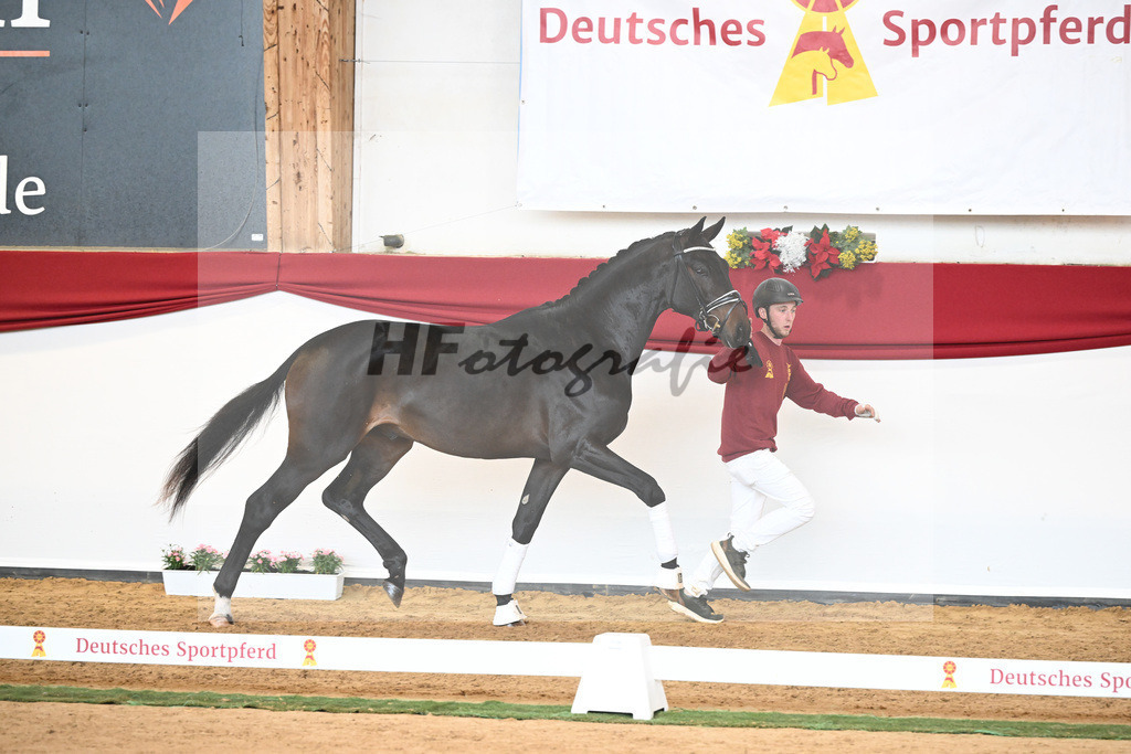 Kat-Nr. 44 Quaterback x Desperados_Ullmann_43230454 | hf-fotografie - Realisiert mit Pictrs.com