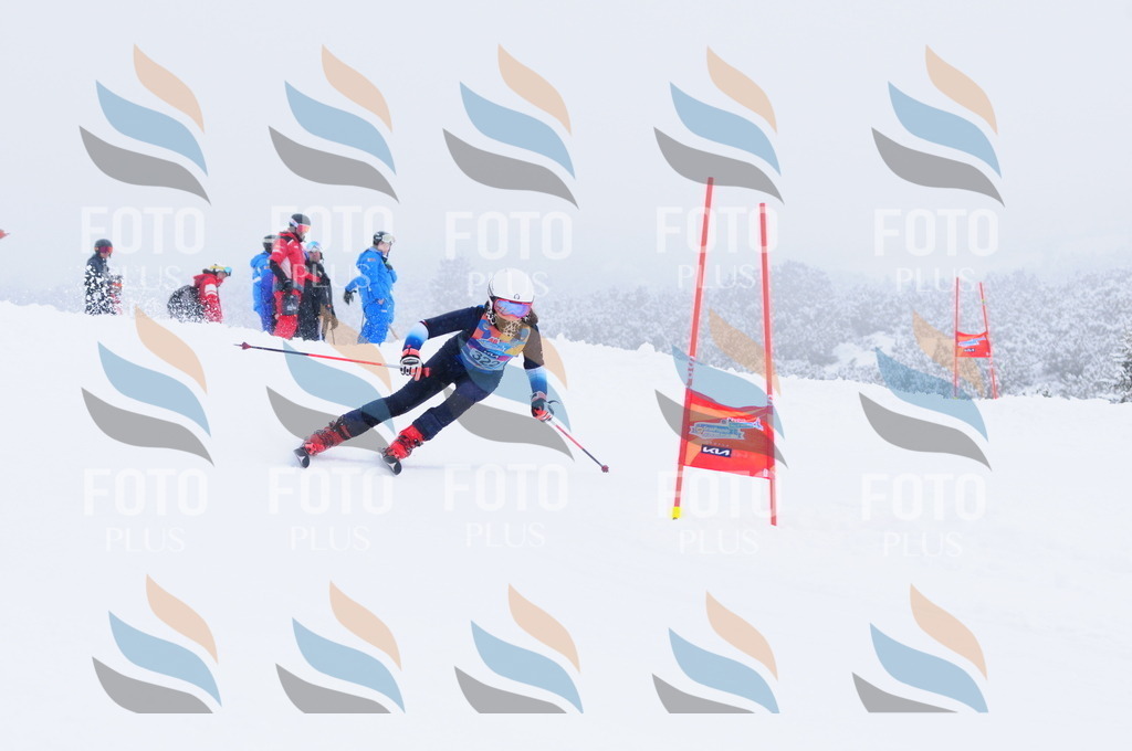 C3434 | holidayphoto