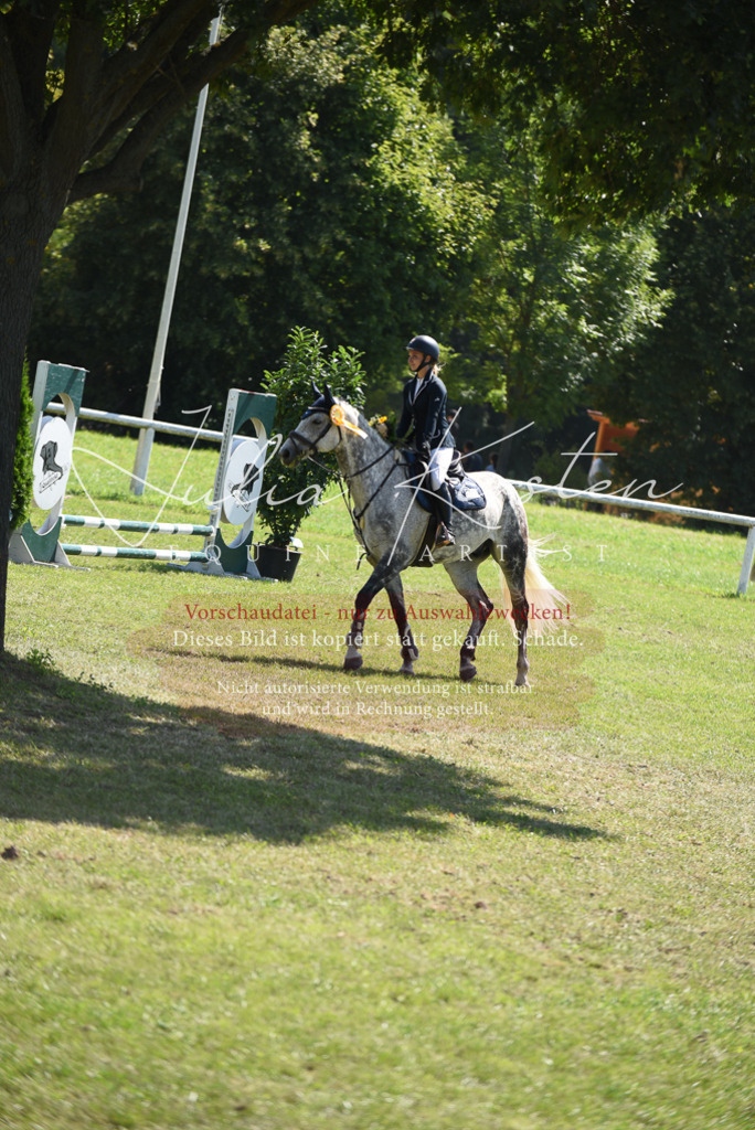 DSC_9657 | Pferde- und Turnierfotografie in Westsachsen. Pferdeportraits, Auftragszeichnungen und intuitive Kunst.