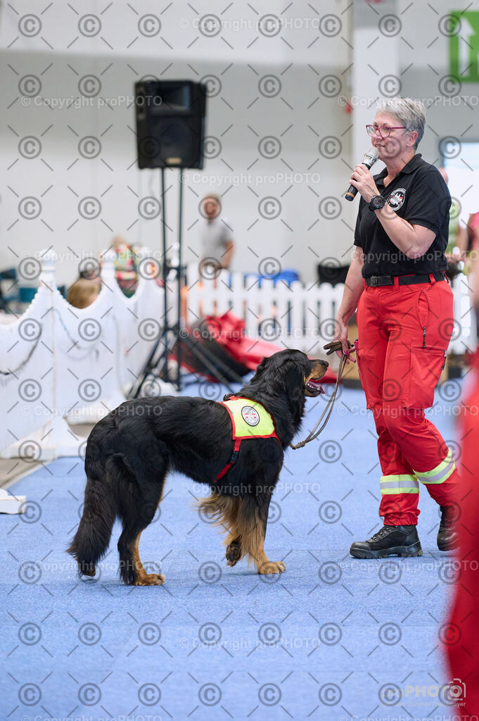 202406_ÖKV-IHA-Tulln24_DSC_3497 | proPHOTO - Realisiert mit Pictrs.com