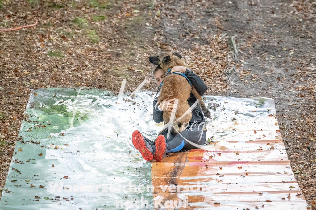 0934_ZZ90319-Bearbeitet | kk-dogfotos