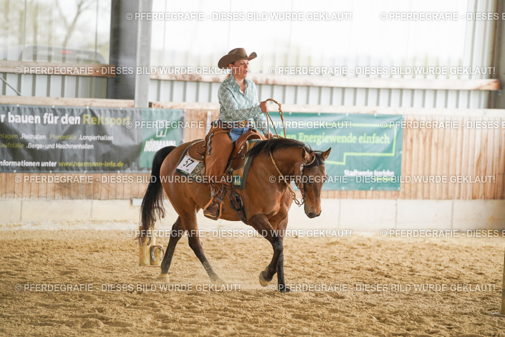 DSC04054 | Pferdegrafie