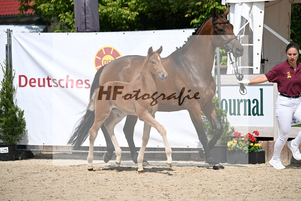 Veneno x Hotline _SF_Wiedemann_12250322 | hf-fotografie - Realisiert mit Pictrs.com
