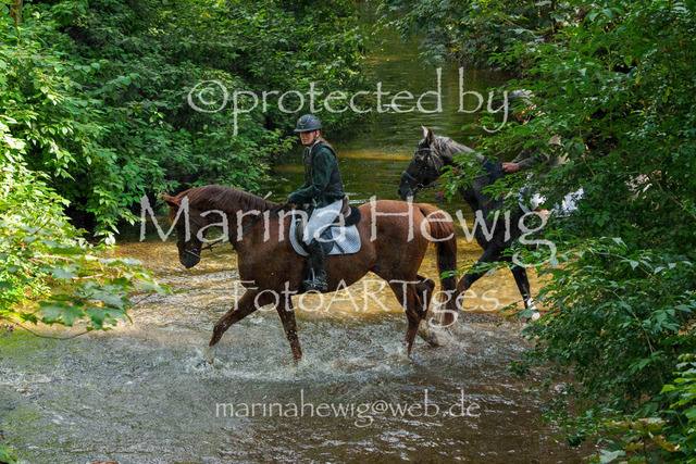 Jagd Perdoel_MarinaHewigMCH05149 | Fotografie, FotoArt, PferdesportArt, Pferdesportfotografie, Landschaftsfotografie, Reisefotografie, Reise, Pferde - Realisiert mit Pictrs.com