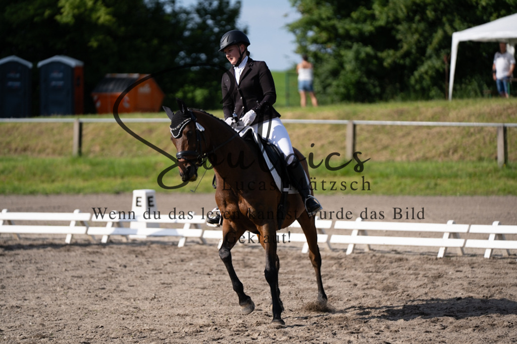 A7V02372 | Pferdefotograf