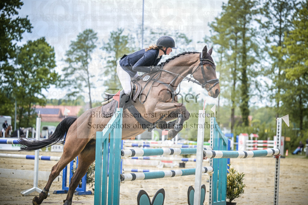 DOS_8505 | Entdecke hochwertige Reitturnierfotos von Foto Oger. Professionell, emotional und authentisch – jetzt Lieblingsmomente im Shop bestellen.Deutschlandweite Turnierfotografie. - Realisiert mit Pictrs.com