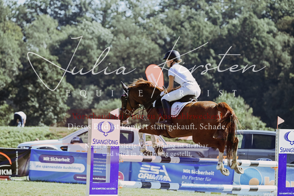 DSC_6412 | Pferde- und Turnierfotografie in Westsachsen. Pferdeportraits, Auftragszeichnungen und intuitive Kunst.