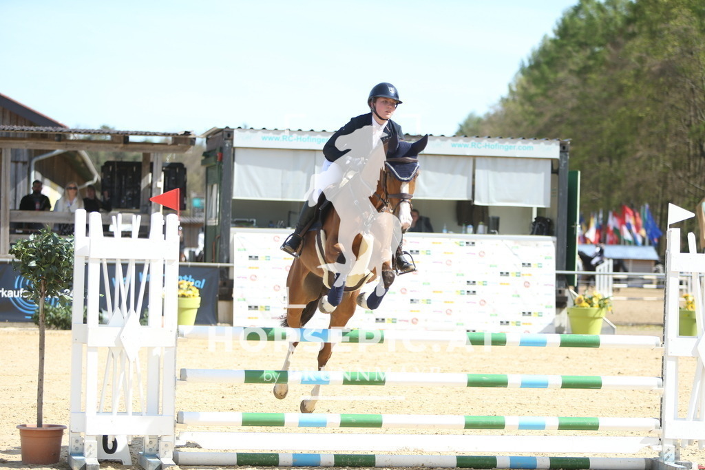 DL2Q2043 | Willkommen bei Brunnmayr - Design & Fotografie – Ihrem Spezialisten für Reitturniere und Pferdeveranstaltungen in Oberösterreich, Salzburg und Bayern! Seit über 17 Jahren sind wir leidenschaftlich dabei.