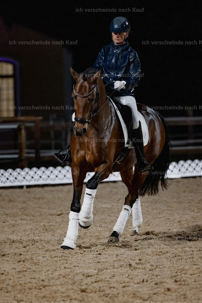 FHClassics-73 | working equitationturnier fotograf videograf stoibphotography marixx film working equitation deutschland reitsport turnierfotografie eventfotografie equestrian events