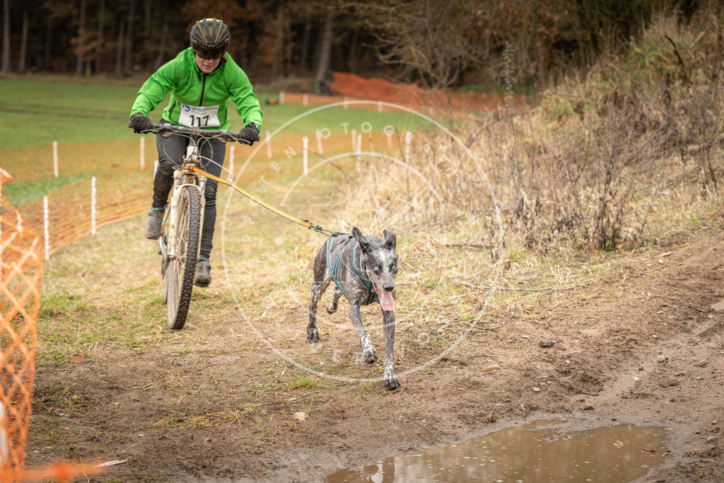 DV3A0973 | Hundefotografie, Tierfotograf, Pfotenfotografie, Fotoshooting Hund, Hunde Portrait, Hundesport, Hundeportraits, Heideshooting, Hunde, Sportfotograf, Hundefotograf, Turnierhundsport, THS,  - Realisiert mit Pictrs.com