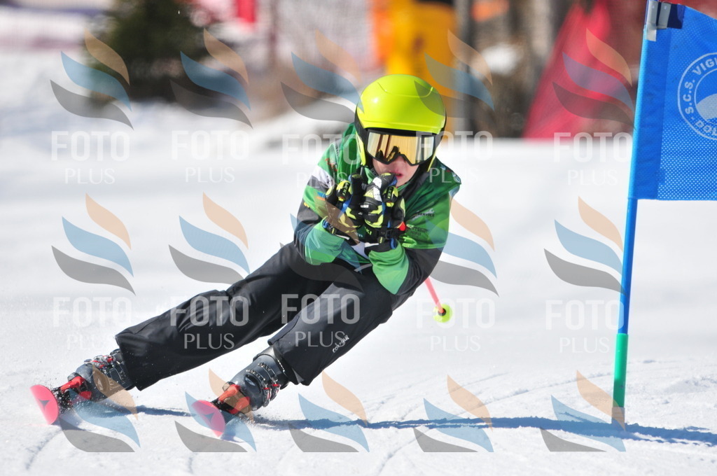 C3210 | holidayphoto