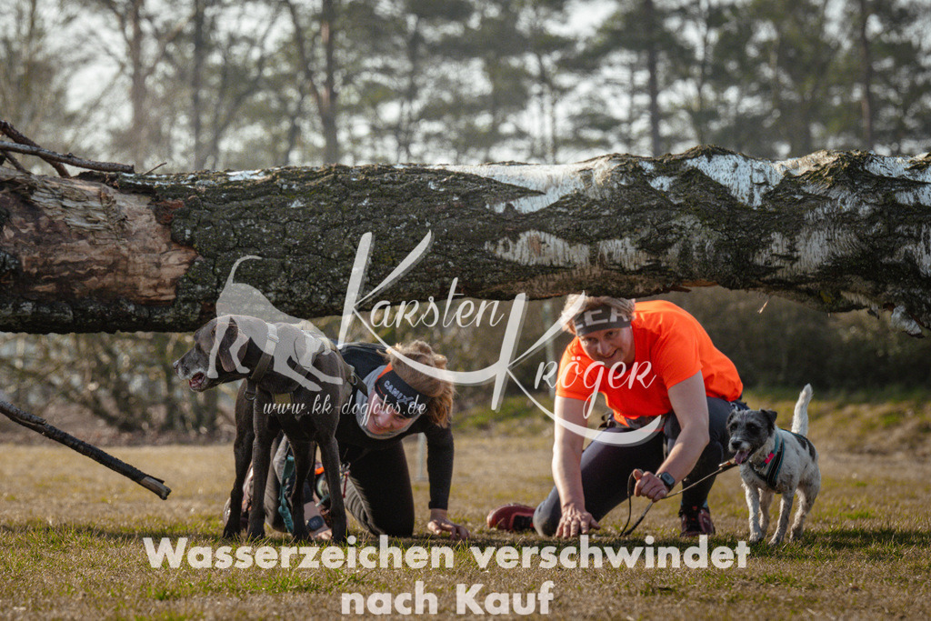 0950_ZZ90172 | kk-dogfotos