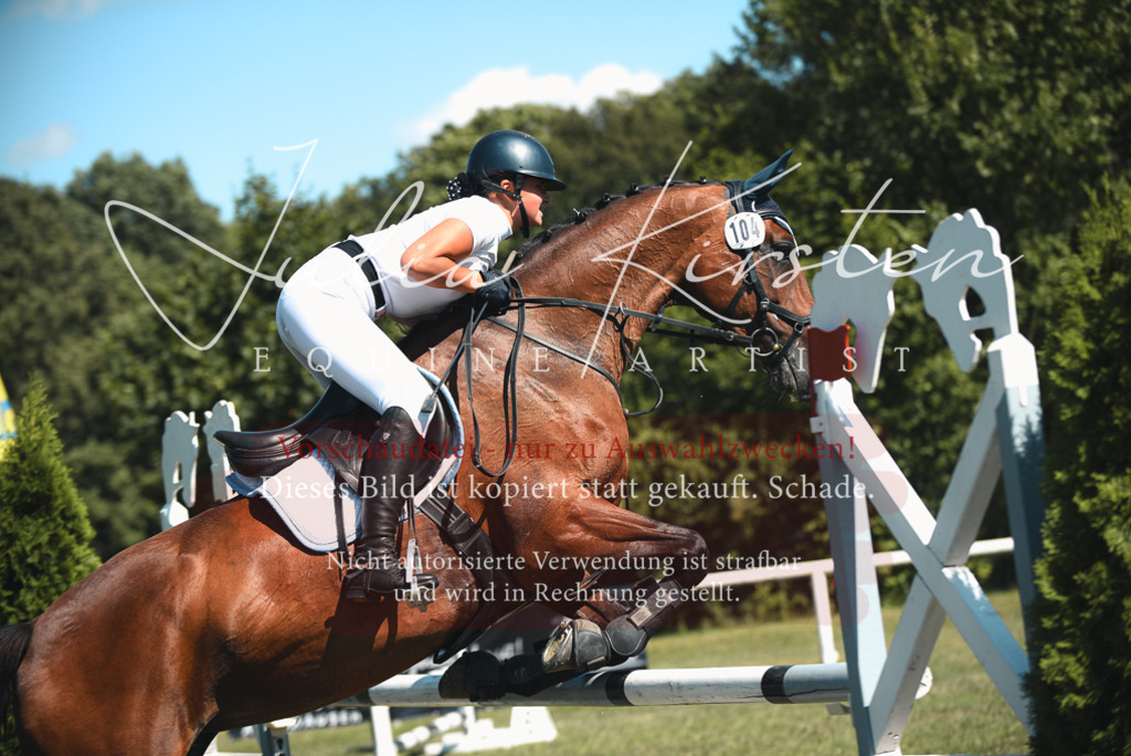 DSC_7252 | Pferde- und Turnierfotografie in Westsachsen. Pferdeportraits, Auftragszeichnungen und intuitive Kunst.