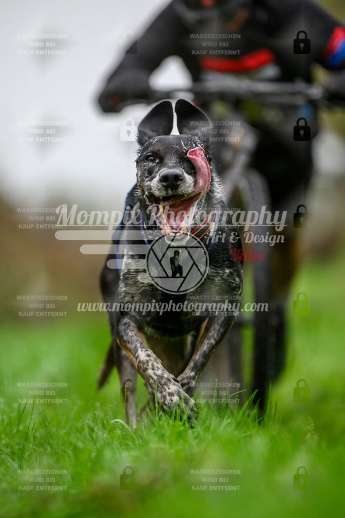 MompixPhotography_20TSB_E8_DS1-15 | PayLife