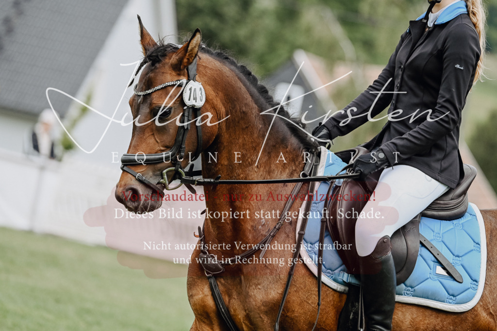 DSC_6753 | Pferde- und Turnierfotografie in Westsachsen. Pferdeportraits, Auftragszeichnungen und intuitive Kunst.