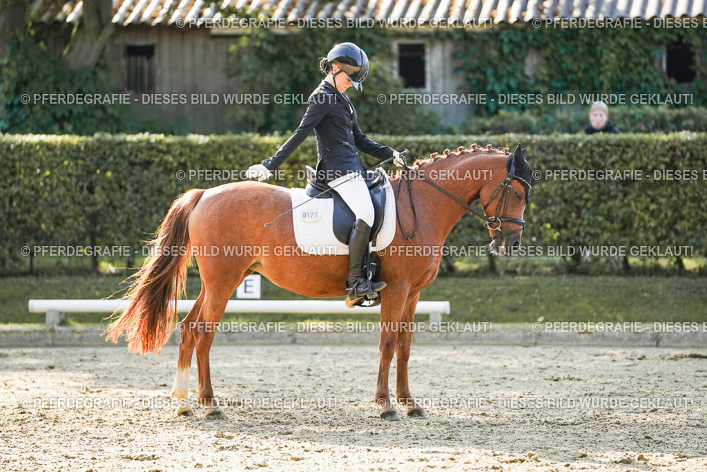 DSC05997 | Pferdegrafie