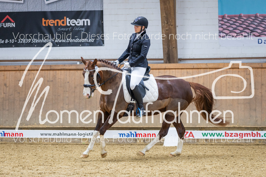 Sth-LPO25-A-Dr-140 | MomenTaufnahmen Pferdesportfotos