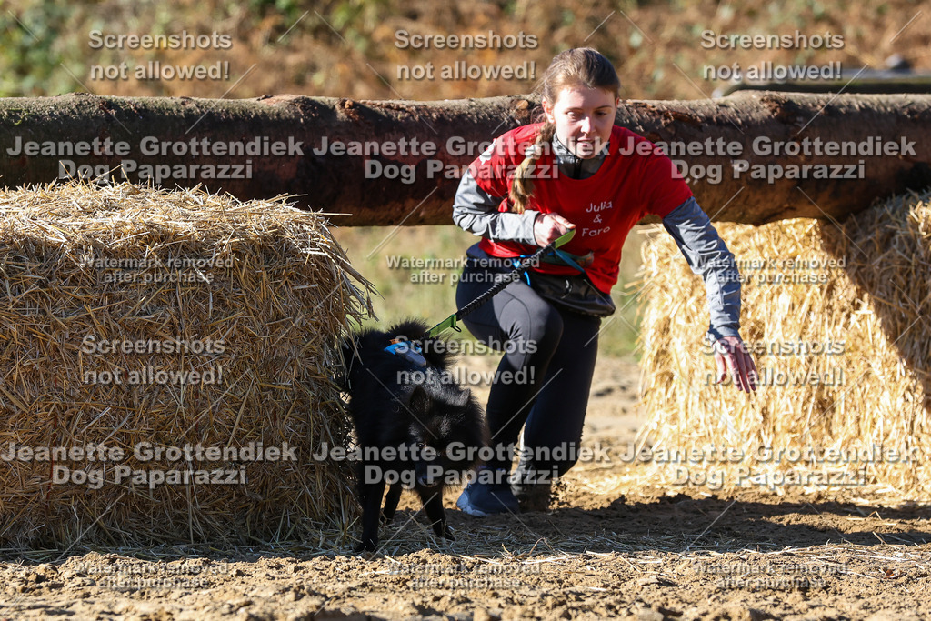 Dog Paparazzi - Strongdog 10-25-2512 | Dog Paparazzi Jeanette Grottendiek Fotografie & Videografie - Realisiert mit Pictrs.com