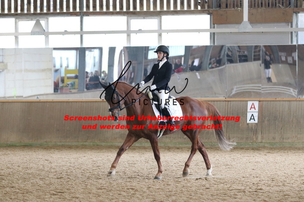 IMG_7446 | lmwpictures - Realisiert mit Pictrs.com