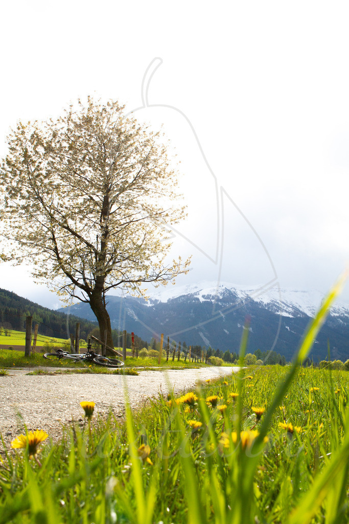 Radtour Lungau | Bei Veröffentlichung des Bildes ist eine Namensnennung wie folgt erforderlich: Foto: Mostdirn Irmgard Wieser - Realisiert mit Pictrs.com