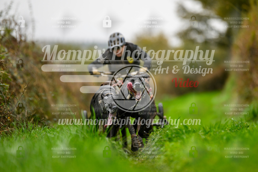 MompixPhotography_20TSB_E8_Kart-15 | PayLife