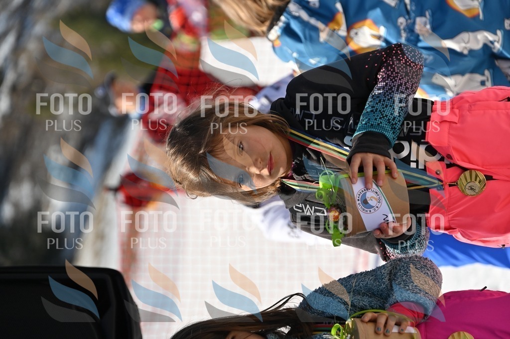 C7153 | holidayphoto