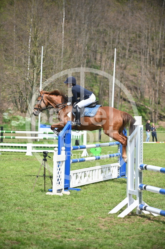 DSC_1880 | sattelsport - Realisiert mit Pictrs.com