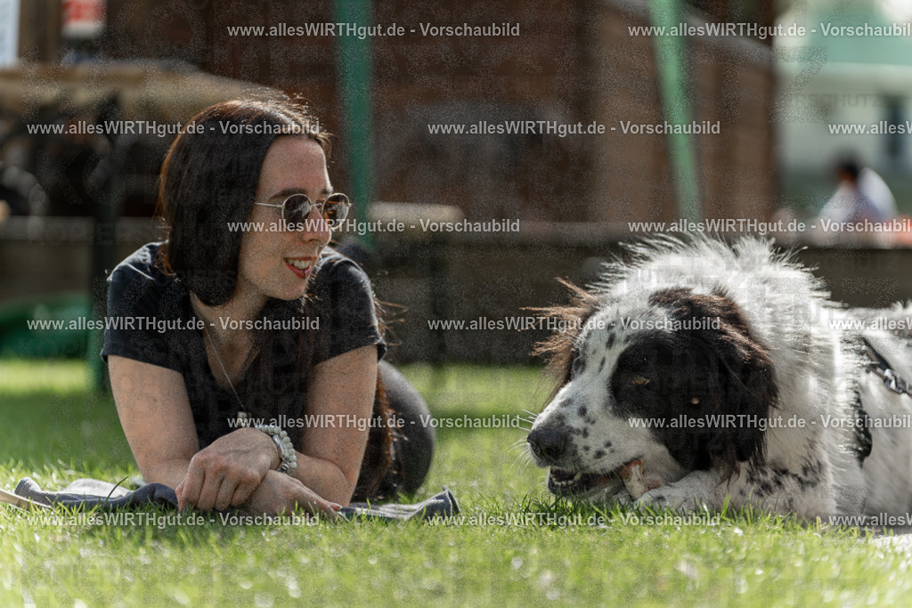 Hundeschwimmen_Volksbad_2026-allesWIRTHgut_Tierfotografie-2609061523-7R501507 | Professionelle Tierfotografie in Mönchengladbach von Daniel Wirth (allesWIRTHgut). Liebevolle & natürliche Bilder von Hunden & Katzen für unvergessliche Erinnerungen.