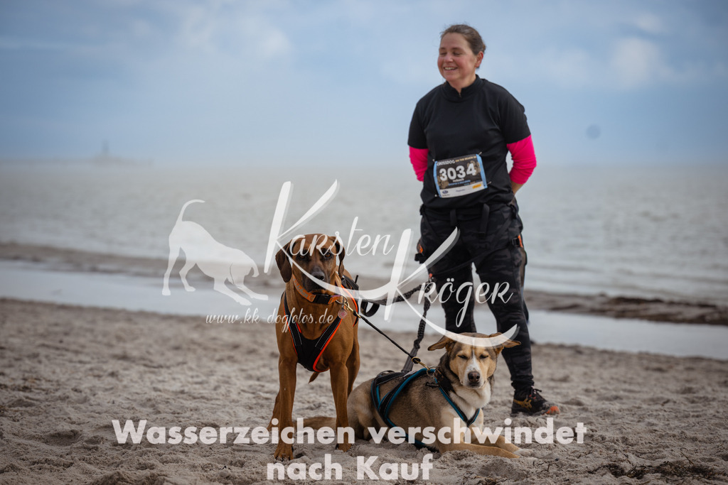 1208_ZZ94304 | kk-dogfotos