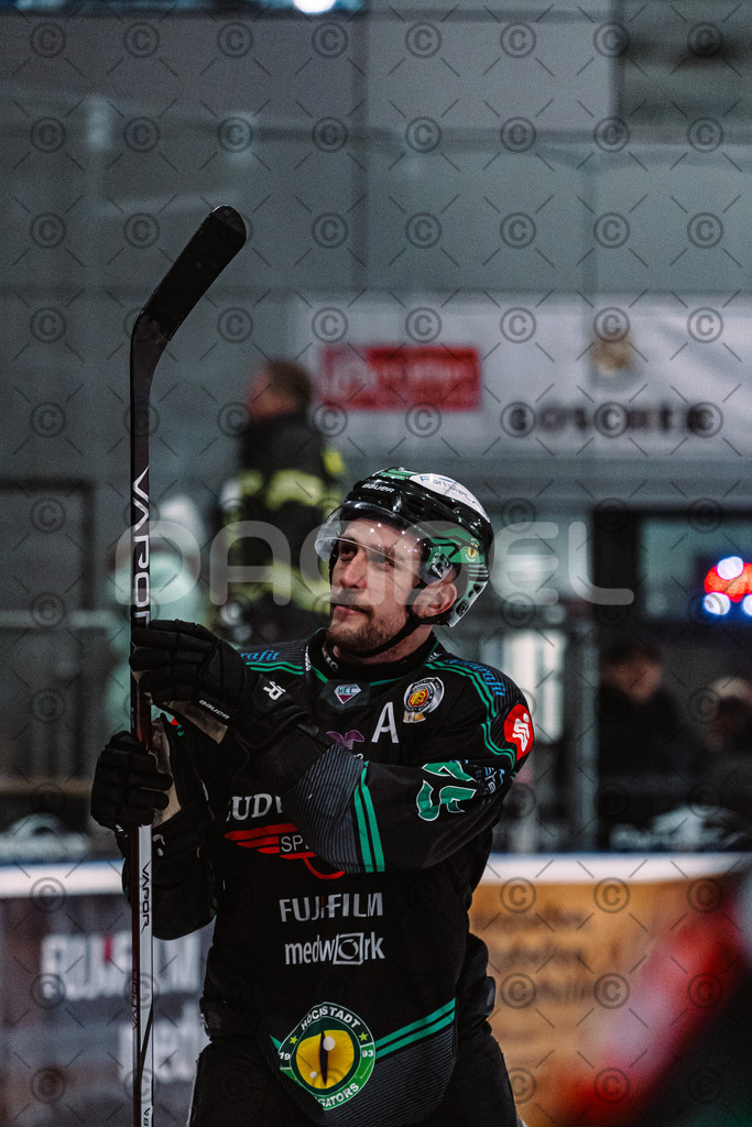 Alligators_vs_Toelz_15_02_2026-66 | Höchstadt Alligators Fotogalerie: Eishockey-Action aus Franken. Professionelle Spielfotos, Portraits & Stadionbilder zum Download. Jetzt entdecken! - Realisiert mit Pictrs.com