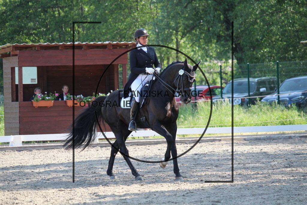 IMG_5691 | franziskalange - Realisiert mit Pictrs.com