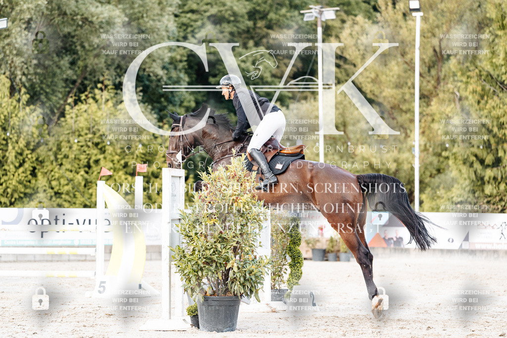 CK903745 | Turnierfotografie Pferdefotografie Trier Rheinland-Pfalz Pferdesport Reitsport Tierfotografie Sportfotografie Pferdevideo Pferdevideografie Equestrianvideography equestrianphotography  - Realisiert mit Pictrs.com