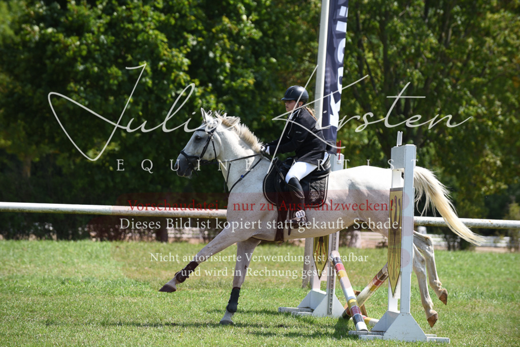 DSC_9882 | Pferde- und Turnierfotografie in Westsachsen. Pferdeportraits, Auftragszeichnungen und intuitive Kunst.