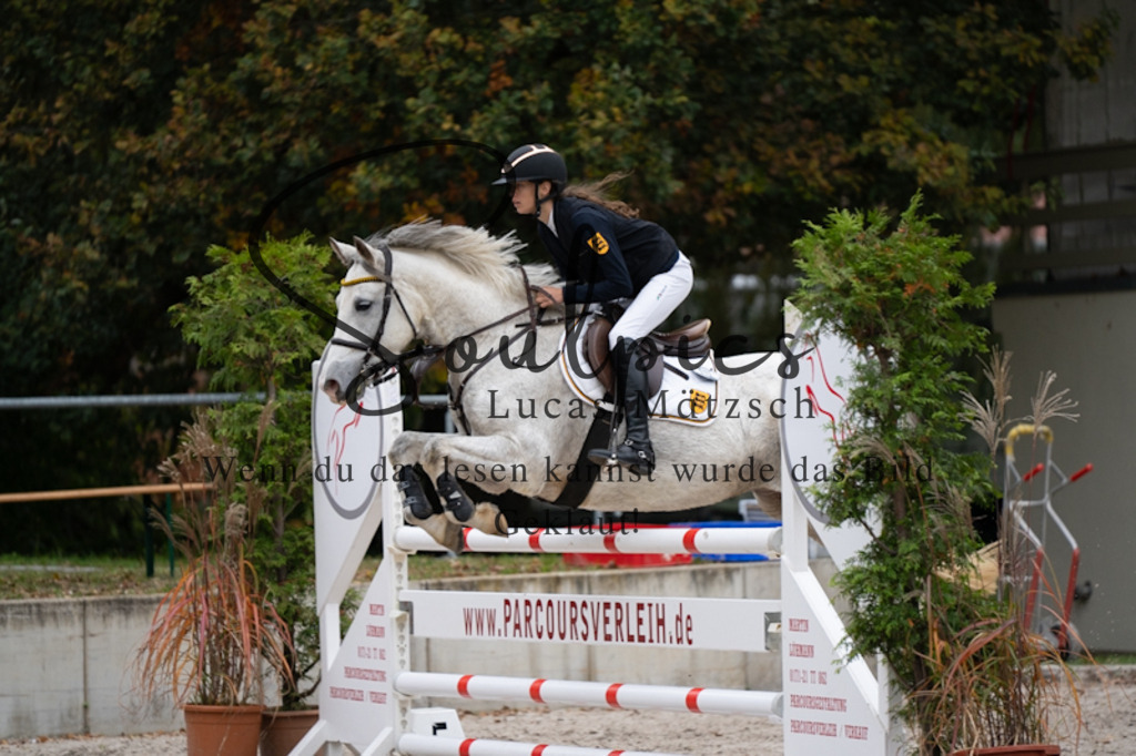 A7V00053 | Pferdefotograf