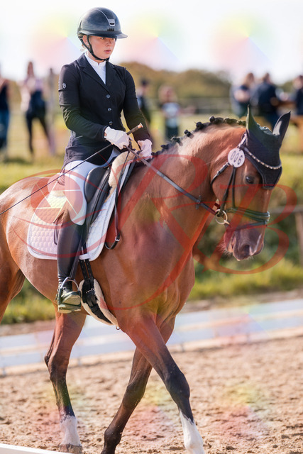 2026_10_03_Siefer-Hof_131711_Z81_65808721 | Professionelle Reitsport-, Turnier- und Eventfotografie von Robert Broda. Galerien mit ausgewählten und bearbeiteten Bildern direkt online ansehen und bestellen.