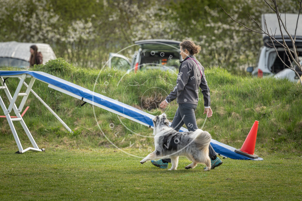 Pfotenfotografie_DV3A4900 | Hundefotografie, Tierfotograf, Pfotenfotografie, Fotoshooting Hund, Hunde Portrait, Hundesport, Hundeportraits, Heideshooting, Hunde, Sportfotograf, Hundefotograf, Turnierhundsport, THS,  - Realisiert mit Pictrs.com